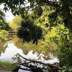 The lake