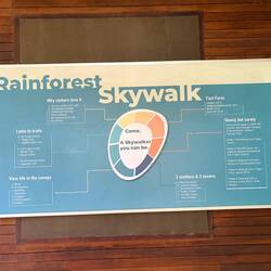 Facts about the canopy walk