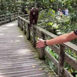 Just going for a stroll