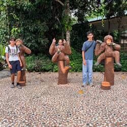 3 little monkeys