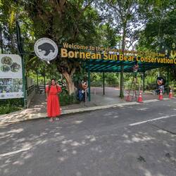 Borneo Sun Bear Conservation Centre