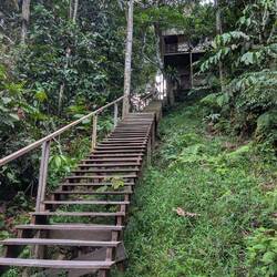 Stairway to heaven
