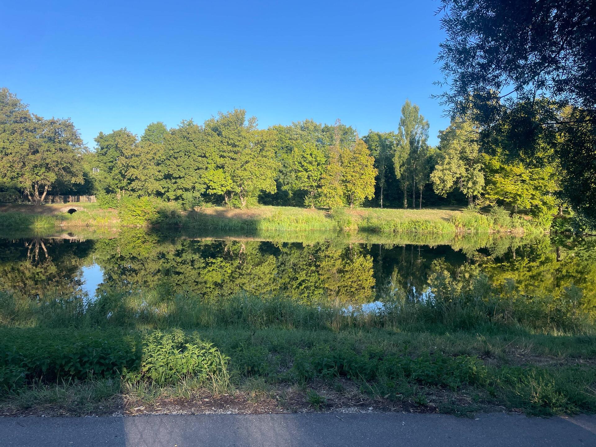 View from campground