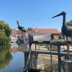 Storks are a thing