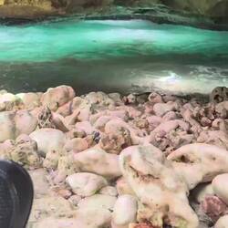 High tide had nearly filled the cave