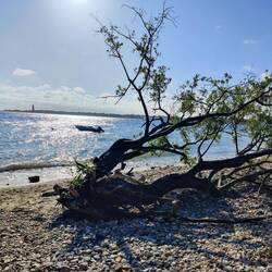Abschied vom Meer