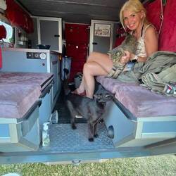 Katzenbesuch im Goba Camp