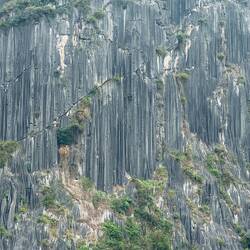 Rills and veins in the limestone