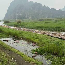 Van Long wetland on a hazy day