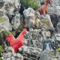 More grotto animals