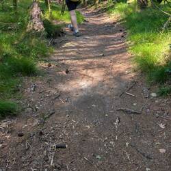 Mit bestem Boden zum Wandern.
