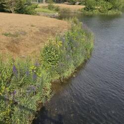 Wo Wasser ist, wird es bunt.