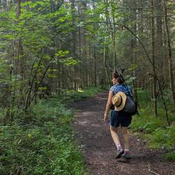 Schöner Waldweg!