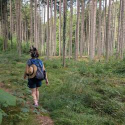 ...und durch schattige Wälder.