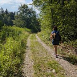 Wir wandern im Sonnenschein...