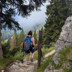 Der Weg wird anspruchsvoller.