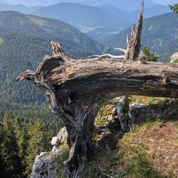 Natur pur.