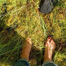 Ich versinke im wässrigen Moos an einem kleinen See...😅