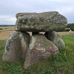 Steinsetzung bzw. Dolmen Toftebjerg