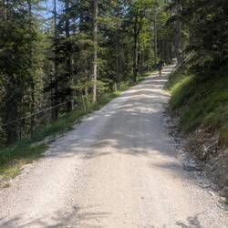 Jetzt geht's nochmal 500 Höhenmeter rauf zur Halleranger Alm.