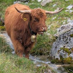 Oder doch nach Schottland?