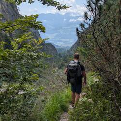 Es wird immer grüner. Das Grau der Felsen verschwindet wieder.