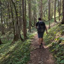 Zum Glück spendet der Wald Schatten.