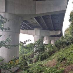 Unter der Autobahn.