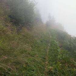 Ich bin ganz allein vom Nebel verschlungen.