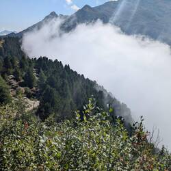 Langsam steigt der Nebel auf.