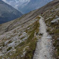 Auf einem herrlichen Höhenweg geht's Richtung Olperer Hütte.