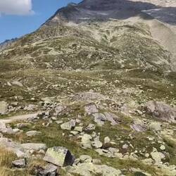 Ciao Austria.