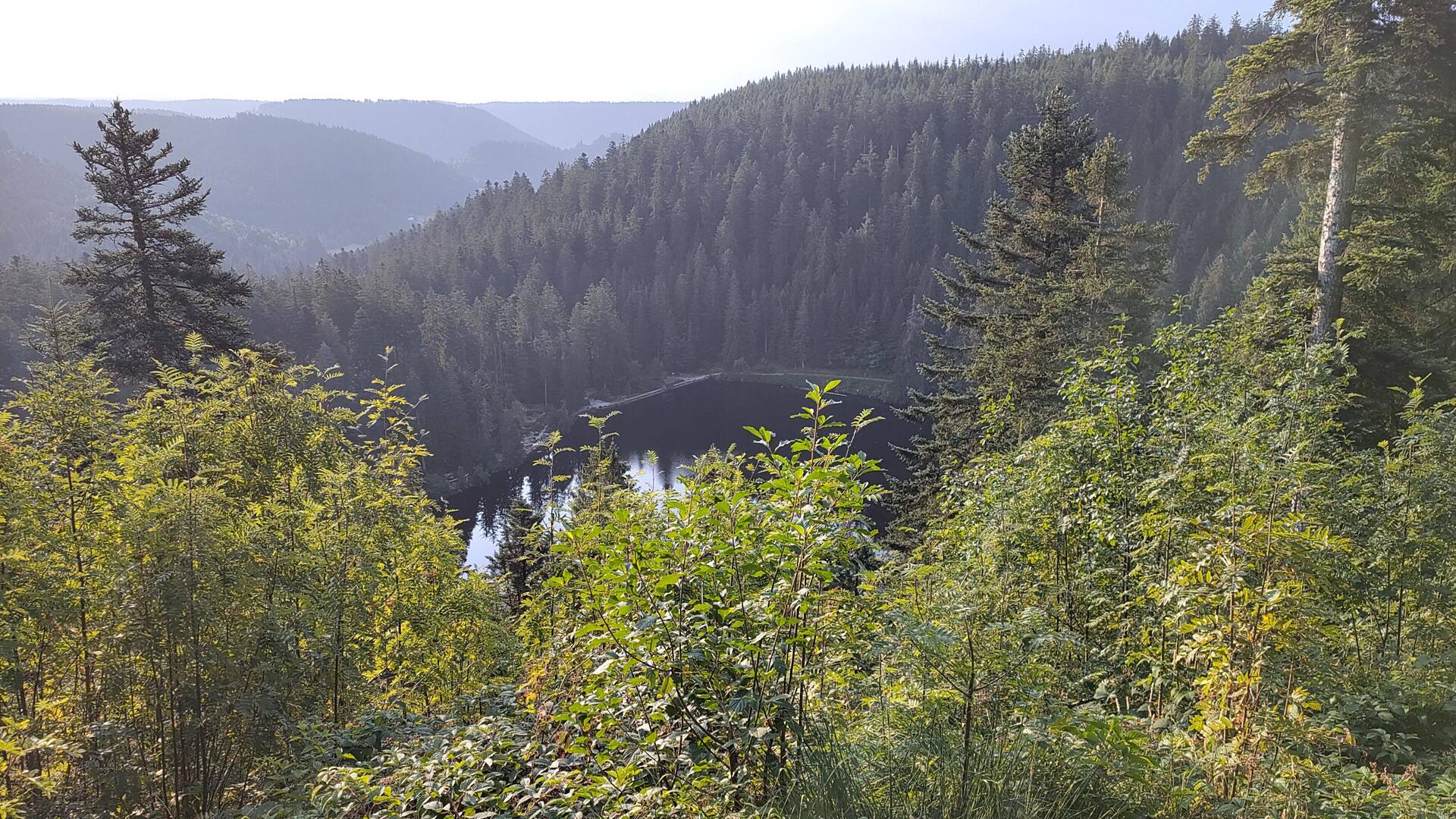Glaswaldsee