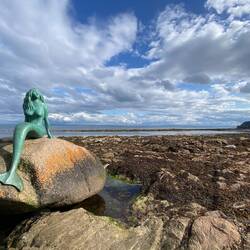 Mermaid of the North