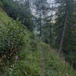 Herrlicher Weg zum ...