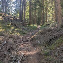 Zum Glück größtenteils durch den schattigen Wald.