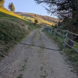 Der Weg beginnt sehr angenehm.