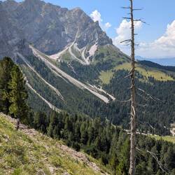 Ob der Baum noch lange so stehen bleibt?