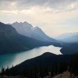 Peyto Lake