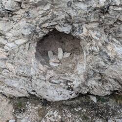 Wenn man genau hinsieht erkennt man eine Weihnachtskrippe in der kleinen Höhle.