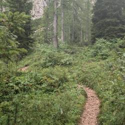 Ich bin wieder an der Waldgrenze angekommen.