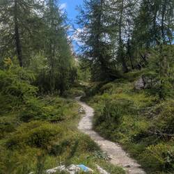 Wunderschöner Höhenweg.