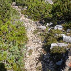 Heute darf ich wieder in der Sonne wandern.