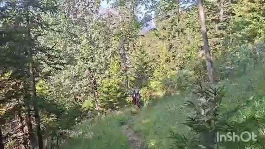 Bilder der zwei vergangenen Tage 🎥