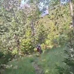 Bilder der zwei vergangenen Tage 🎥