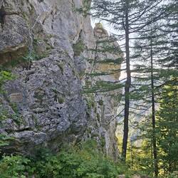 Der Kletterfelsen neben der Hütte