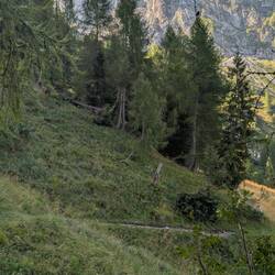 Die Schiara bietet mir heute noch eine richtige Herausforderung an: die Via Ferrata Marmolada.