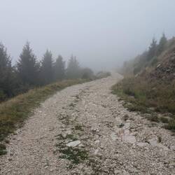 Leider ist es sehr neblig, sodass ich zunächst gar keine Aussicht genießen kann.