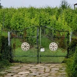 Vom dänischen Weingut zum schwedischen: Åstad Vingård