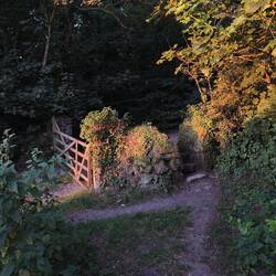 Auf der Hunderunde